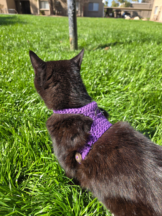 Crochet Cat Harness